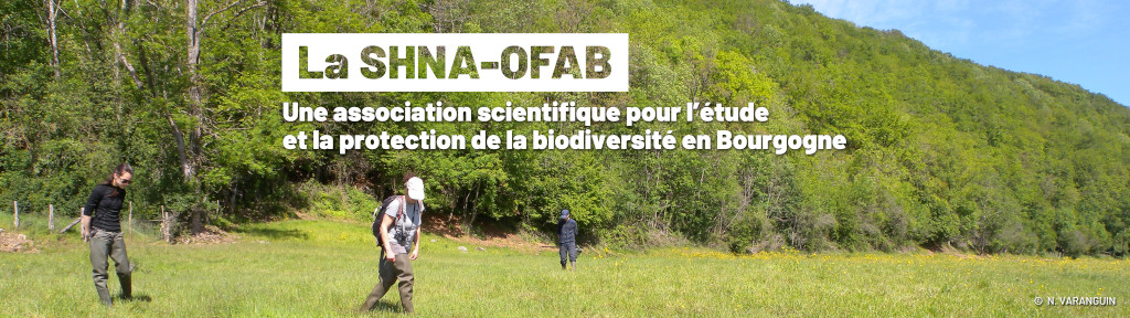 Atlas de la faune de Bourgogne